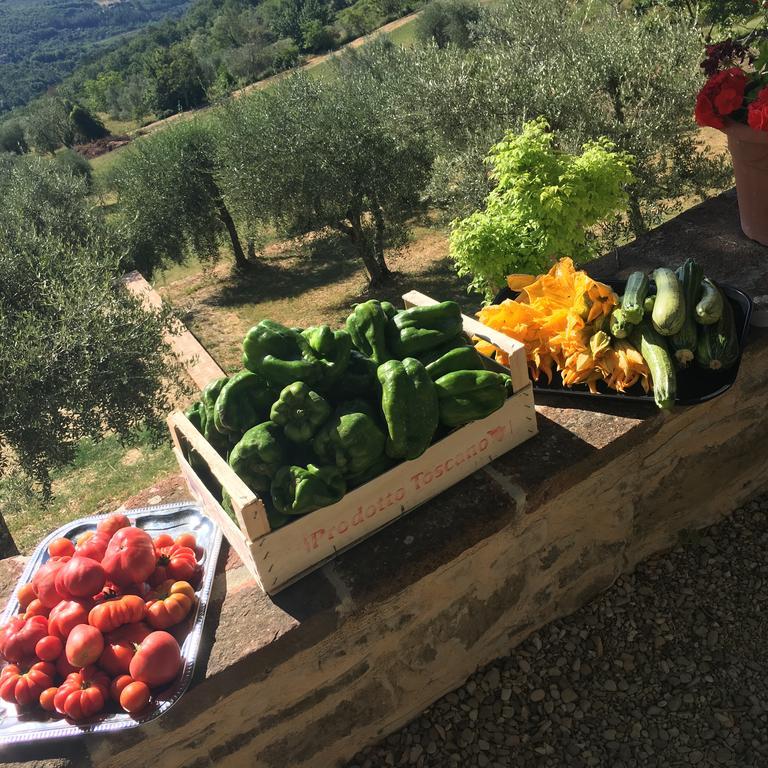 I Casali Del Trebbiolo Villa Molino del Piano Kültér fotó